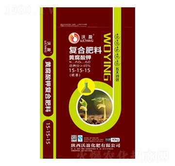 �S����⛏ͺϷ���15-15-15-��ӯ����