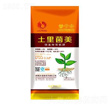 ΢�����ЙC��-�������-��ӯ����