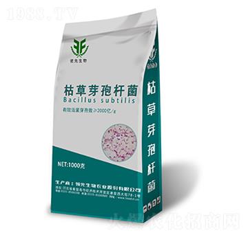 �ݲ�ѿ�ߗU��