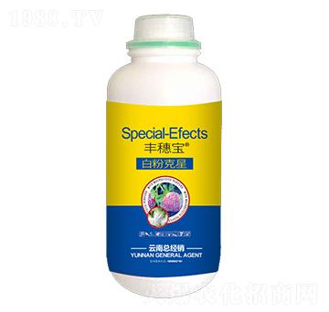 �׷ۿ���-�S�댚-�˰�