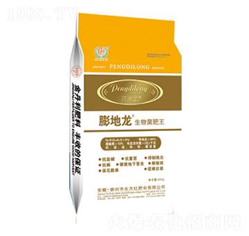 ���������-�����-�|