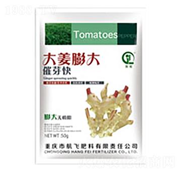 大姜膨大催芽快-白市化工