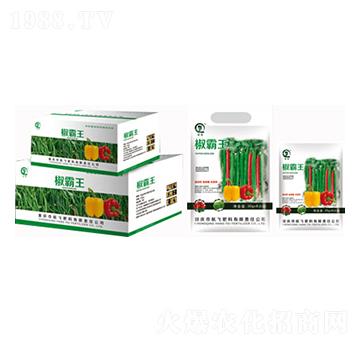 花生粒粒巨大超千斤-白市化工