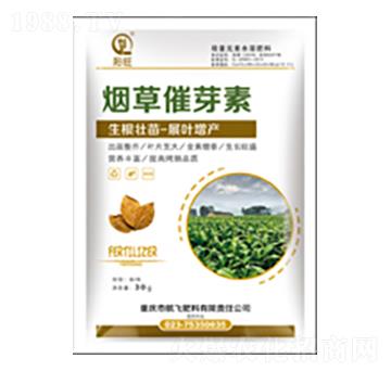 ���ݴ�ѿ��-���л���