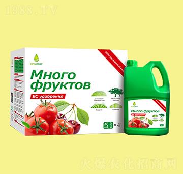 ������Һ�w��-��Ș�