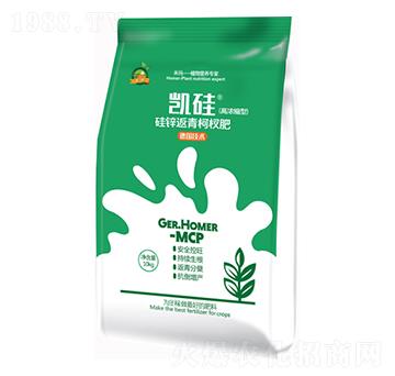 �����辷�-�P��-�̬�