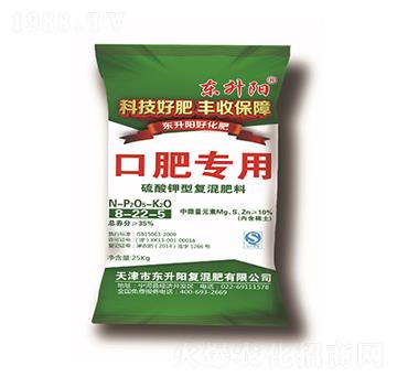 �ڷʌ���������͏�(f��)�����8-22-5-�|���(y��ng)