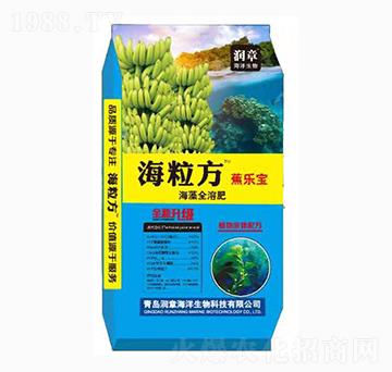 ����������ȫ�ܷ�-������-��(r��n)�º���