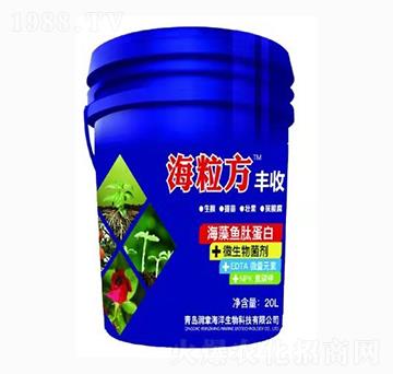 �����~�ĵ���-������-���º���