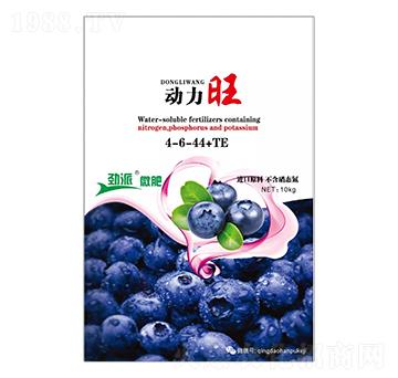 ��(d��ng)����4-6-44+TE-����΢��-����