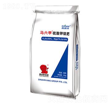 �R����������V��-������