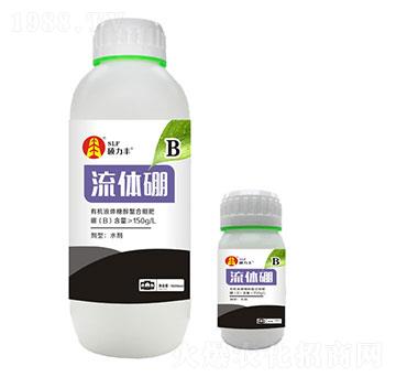 ���w���-�T���S����