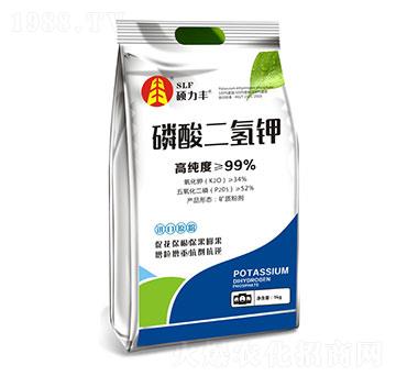 �������⛷�-�T���S����