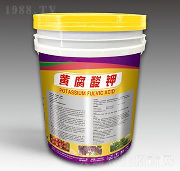 �S�����-������-��˼�D