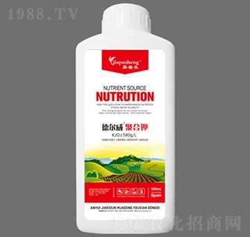 ��?t��ng)����ۺ��?������-��˼�D