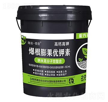 ���������(y��u)���-������(y��u)��