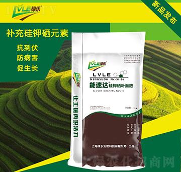 �����_������~��ʣ�����-�G������