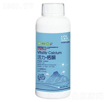 �����}ͪ-�Θ��r(n��ng)�I(y��)