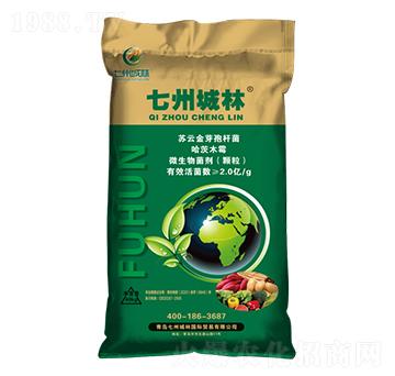 �����͹��ܷ�-���ݳ���