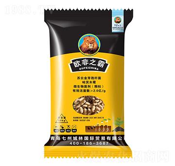 �������طN��-�W��֮��-���ݳ���