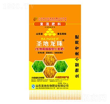 ���ֲ︯����С����18-12-10-ʥ������-ʥ��