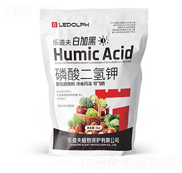 ��������-�׼Ӻ�-������