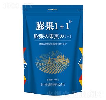 ���1+1-���˳�