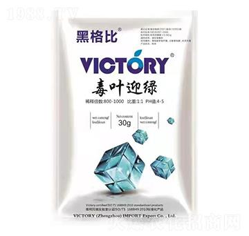 ���~ӭ�G-�ڸ��-�S������