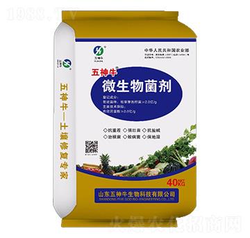 ΢�������-����ţ