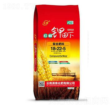 �t������ͺϷ�18-22-5-�M̩����