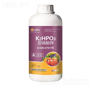 �������0-520-370+TE-�����S