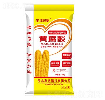 �S����28-6-6-�|������