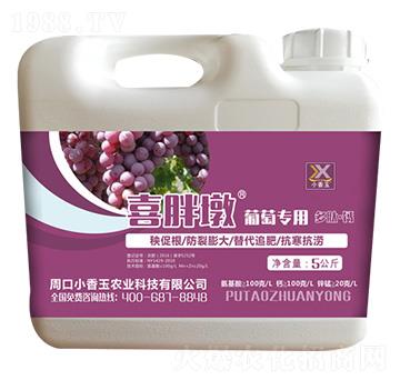 ���ь��ö��ġ��}-ϲ�ֶ�-С����