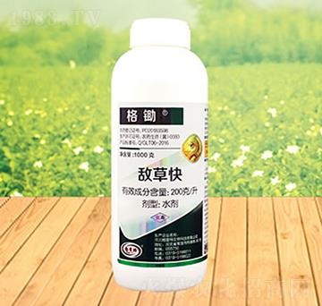 200��ÿ�����ݿ�-���z-������