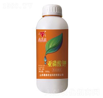 �������-¡̩�r(n��ng)�I(y��)