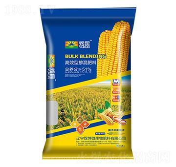 ��ጓ������17-17-17-����