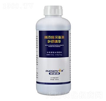 �ߝ�s����~�G���A-����������