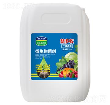 5kg΢�������-�۶���-�пƝ����S