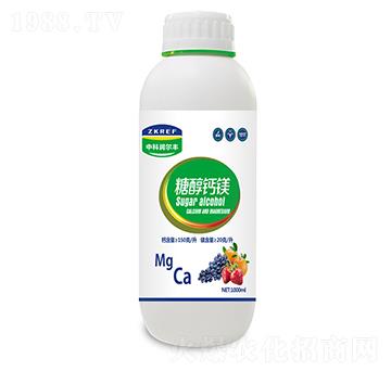 �Ǵ��}�V-�пƝ����S