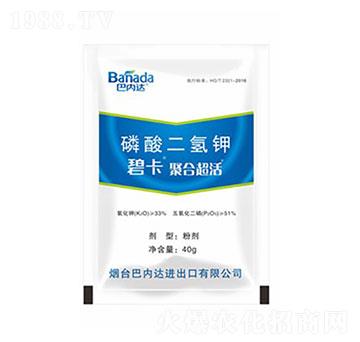 40g��������-�̿�-�̓��_