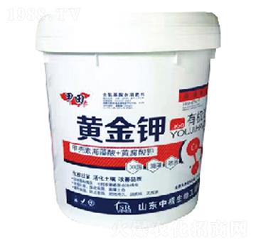 �S���-����-�и�����