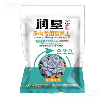 ���⌣(zhu��n)�àI(y��ng)�B(y��ng)��-��(r��n)��-���A����