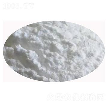 ���Ϸ�ĩ-�Y�׻���