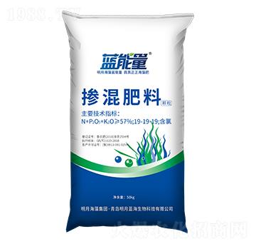 �w���������19-19