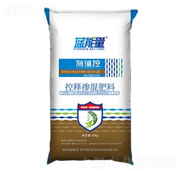 �w��������⛡������Ϳ�