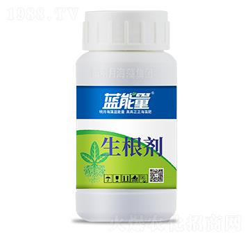 ������-�{����