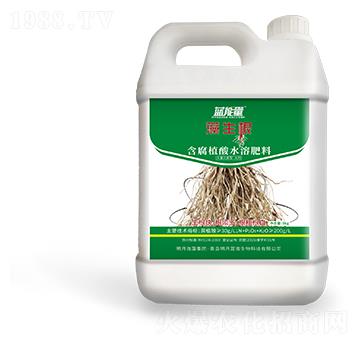 ����ֲ��ˮ�ܷ���-����