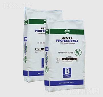 ����Ԫ��ˮ�ܷ���19-19-19+TE-professional-����r(n��ng)�I(y��)