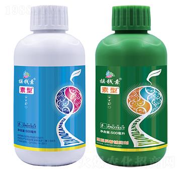 �޻����̈́�-�u�X������