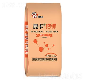 �����}�14-0-23+6Ca-�Ȏ�